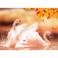 Cross Stitch Kit DIY Diamond Embroidery Beautiful swan Diamond Painting Mosaic Home Decor 20X30CM beige