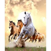 5D Diy Diamond Painting Handmade Animal Horse Cross Stitch Diamond Embroidery Home Decoration 20X30CM white