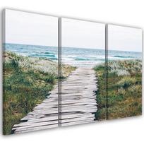 Trijų dalių paveikslų spausdinimas ant drobės Beach Sea Dunes Grass 60x40 žalia