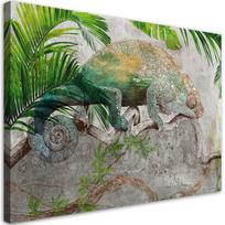 Drobės spaudinys Chameleonas ant šakos džiunglių 60x40 žalia