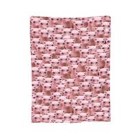 Bingus Army Blankets Soft Warm Flannel Throw Blanket Bedding for Bed Living room Picnic Travel Home Couch 75x100cm 30x40in pink