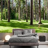 3D Miško Tapetai Žalias Miškas Gamta Peizažas Freskos Svetainė Miegamasis Fono Sieninė Freska Namų Dekoravimas 200 cm(W) x 140 cm(H) black