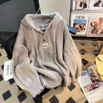 Thickened Soft Waxy Hooded Sweater Women's Spring New Loose and Versatile Design Knitted Top S