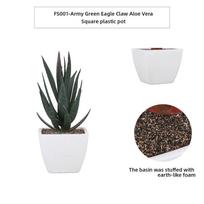 Mini Artificial Aloe Plants Bonsai Immortal Finger Gemstone Flower Pot Plants Fake Flowers Office Table Potted Ornaments Decor