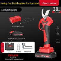 Delixi Brushless Electric Fruit Tree Pruner: Efficient, Labor-Saving, Lithium Battery-Powered Garden Shears Pruning King, 2.0AH Home Use, 1 Battery Standard