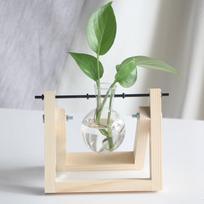 Desktop Glass Vase Wooden Frame Transparent Glass Ball Hydroponic Plant Container Flower Pot Home Bonsai Decor