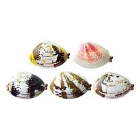 Rolling Cutter Sharpener Magnetic Cutter Holder Kitchen Tool Sharpener Precision Blade beige