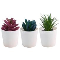 3 Different Plants Desktop Succulent Set Simulation Plant Decor set2