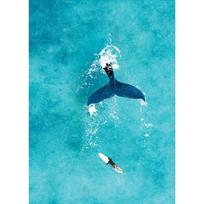 Blue Watercolor Ocean Marine Organism Whale Shark Manta Rays Poster Sea Beach Surf Canvas Painting Wall Art for Room Home Decor 21cm×30cm NoFrame