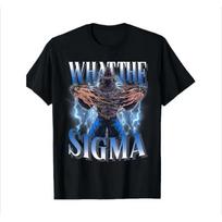 What The Sigma Cool Funny Alpha Wolf Meme T-Shirt Vintage Leisure Men Tee Daily Soft Unisex Clothing Sport Soft Women Tops - ... S įvairiaspalvis