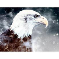 Diamond Painting Eagle Animal Full Drill Diamond Embroidery Animal Pictures Rhinestones Cross Stitch 20X30CM gray