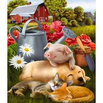 5D DIY Diamond Painting Pig Dog and Cat Embroidery Cross Stitch Rhinestone Mosaic Home Decor 20X30CM red