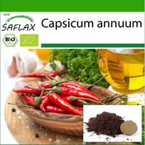 SAFLAX – Ekologiški – Aitri čili pipirai – De Cayenne Long Slim – 10 sėklų – Su vazoniniu substratu geresniam auginimui – Capsicum annuum