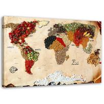 Canvas print, Map of the world with spices 60x40 ruda