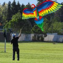 3D P-arrot K-ite vaikų žaislas lauke skraidantis žaidimas Vaikai su uodega