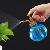 1Day Ship 350ML Plant Flower Watering Pot Spray Bottle Sprayer Planting succulents Kettle for Garden Small Garden Tools Supplies blue