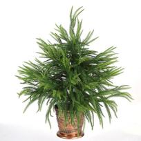 60Cm Christmas Tree Simulation Artificial Norfolk Pine Desktop Small Christmas Decoration Willow Leaf Christmas Tree