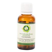Asafoetida eterinis aliejus | Heeng aliejus | Ferula Assa | Asafoetida aliejus | Grynas Heeng aliejus | Grynas Asafoetida aliejus | 15ml | 0.507oz Iš R V Essential