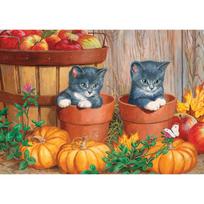 5D „pasidaryk pats“ deimantinis siuvinėjimas Deimantinė mozaika Moliūgų katė Apvalus deimantinis paveikslas Siuvinėjimas kryželiu 20X30CM gray