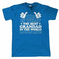 What The Best Grandad In The World Looks Like Birthday Unisex T-shirts S