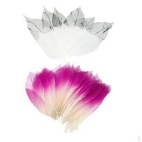 Pack of 100 Magnolia Skeleton Leaves Decorative , Artificial Craft Card Scrapbook DIY white