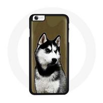 Coque Iphone 5 Husky de Sibérie