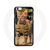 Coque pour Iphone 5/5S - SE Chat chaton Bengal beige