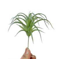 1 vnt. sultingos oro žolės modeliavimas, plečiantis mažus papuošalus bromeliadų lapai žalia/balta