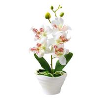 Dirbtinis gėlių vazonas Phalaenopsis Bonsai Ornament Balkanas Namų kraštovaizdžio dekoras balta