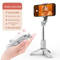 „Bluetooth“ asmenukių lazdelė su nešiojama užpildymo lempute ir daugiafunkciu staliniu trikojo stovu Q11 mini stainless steel without light balta
