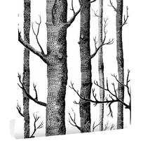 Beržo Miško Lipni 3D Tapetai Svetainei Miegamajam Sienos Lipdukas Vinilinės Kontaktinės Popieriaus Juoda Balta Medžio Sieninė Tapyba 6m*45cm 1cmx45cm Sample gray