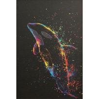 Minimalist Watercolors Sea Fish Shark Dolphin Ornamental Fish Art Painting Poster Canvas Painting Wall Pictures Home Room Decor 21cm×30cm NoFrame