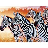 Pilnas 5D „pasidaryk pats“ deimantinis paveikslas „Pentium Zebra“ siuvinėjimas kryželiu namų dekoravimui rankų darbo dovana 25x30cm gray