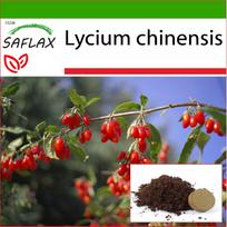 SAFLAX - Goji uogos - 200 sėklų - Su vazoniniu substratu geresniam auginimui - Lycium chinensis
