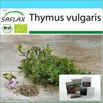 SAFLAX Dovanų rinkinys – Ekologiškas – Čiobreliai – 800 sėklų – Su dovanų dėžute, kortele, etikete ir vazono substratu – Thymus vulgaris