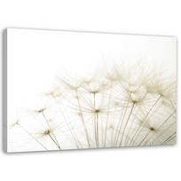 Canvas print, Inflatable in close-up 60x40 smėlis