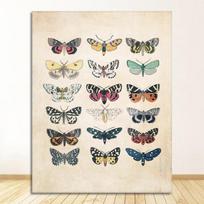 Gamta Vaikų Švietimo Plakatas Darželio Sienos Menas Paveikslai Drobės Tapyba Vaikų Kambario Dekoras Vintažiniai Drugelių Spaudiniai Vabzdžiai 21cm×30cm NoFrame beige