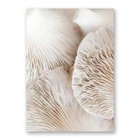 Mushroom Cotton Sand Decoration Poster Gift Nordic Style Prints Living Room Wall Art Canvas Painting Modern Home Decor Aesthetic 21cm×30cm NoFrame