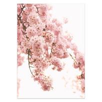 Skandinaviško stiliaus plakatas Jūros paplūdimys Dekoratyvus paveikslas Rožinė gėlė Sienos meno paveikslas svetainei Nordic apdaila Namų dekoras 21x30cm No Frame