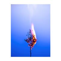 Abstract Concept Landscape Poster Burning Plant Hot Air Balloon Under Night Starry Sky Art Canvas Painting Wall Poster Prints Room Home Pictures Decor 20x30cm No Frame balta