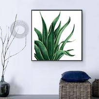 5D Diy Diamond Painting Emerald Aloe Vera Diamond Embroidery Full Lay Anime Cross Stitch Kits Home Decor Handmade Gift Round 30x30cm