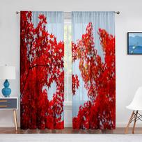 Fall Forest Tulle Curtains for Living Room Bedroom Decoration Autumn Trees Woodland Sunshine Nature Scenery Sheer Voile Curtain 1 PCS W150XH250cm&Grommet Top brown