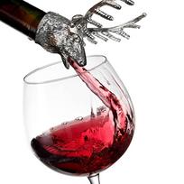 Elk nerūdijančio plieno alkoholinis vyno butelis pilstymo snapelio kamščio kamštis sidabras