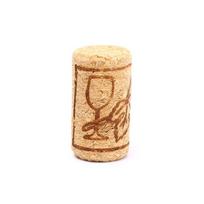 10 vnt. vyno kamščių, kamštis, daugkartinio naudojimo, funkcionalus, nešiojamas, sandarinantis vyno butelio kamštis 10pcs
