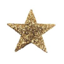 WTEMPO 10PCS Sequins Embroidery Patches Pentagram Clothing Patches Clothing Repair Accessories Bags Sewing Patches 10pcs auksas