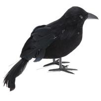 Helovino juodojo varno rekvizitai, realistiškas varnas, baisus plunksnuotas varnas, namo dekoras black
