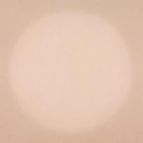 3CE Natural Finish Loose Powder No. 1 Light Beige