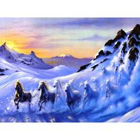 Deimantinė tapyba Visas apvalus deimantinis siuvinėjimas kryželiu Siuvinėjimas deimantiniu arkliu kalnų krištolų paveikslas 20X30CM blue