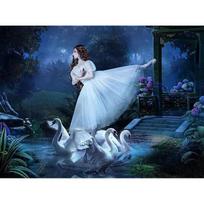 Full Round Drill Diamond Painting Swan Ballet Girl Cross Stitch Rhinestone Embroidery Landscape 20X30CM