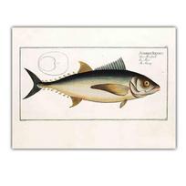 Retro art animal poster fish evolution popular science canvas painting living room corridor home decoration mural No Frame 21*30cm No Frame